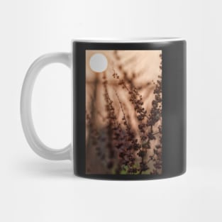 Broad-leaved Dock (Rumex obtusifolius) Mug